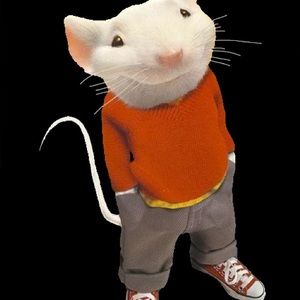 Meet your Posher, Nikki